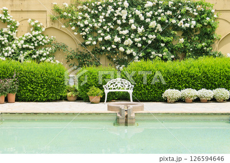 レオマ花ワールド　満開のバラ園 126594646