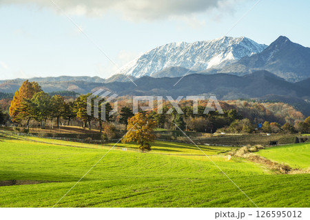 紅葉の蒜山高原と冠雪の大山 126595012