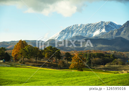 紅葉の蒜山高原と冠雪の大山 紅葉の蒜山高原と冠雪の大山 126595016