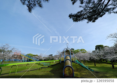 清々しい春の吉野公園 清々しい春の吉野公園 126595058