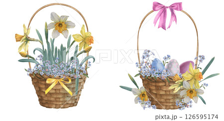 Baskets with colored eggs delicate forget-me-nots, sunny daffodils and satin ribbon bows. Hand drawn watercolor illustration of wooden container for rustic design on isolated background. For Easter. 126595174