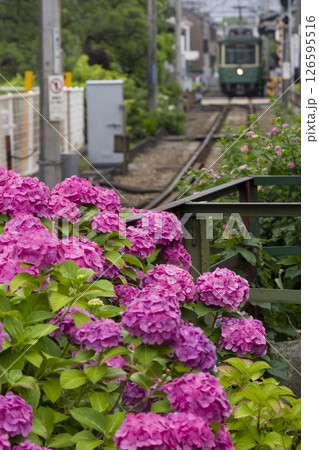 長谷駅を発車 126595516