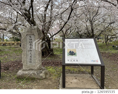 福岡市「福岡城・黒田如水公御鷹屋敷跡石碑」 126595535