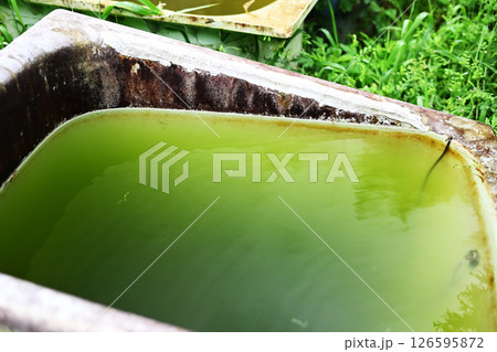 屋外のグリーンウォーター 屋外のグリーンウォーター 126595872