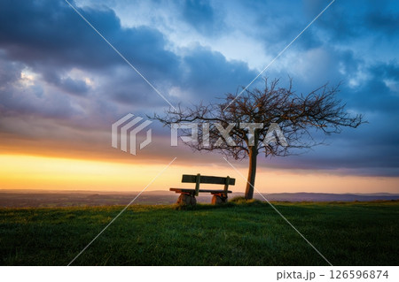 A serene landscape captures a solitary bench resting on green grass framed by a bare tree against a dramatic sunset sky. The colors blend beautifully as day turns to night. 126596874