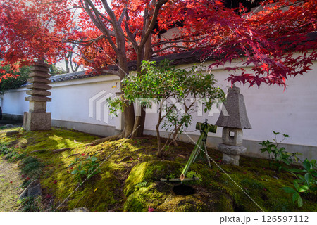 本満寺　秋の庭園 126597112