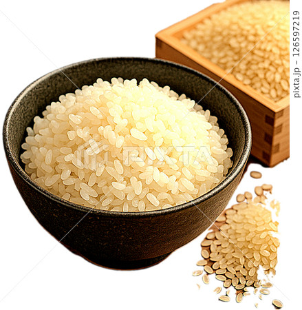 おいしそうなご飯 126597219