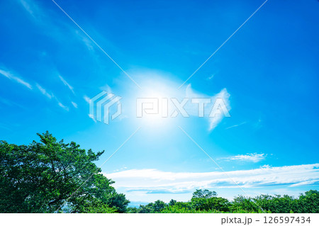 青空と雲と木立 青空と雲と木立 126597434