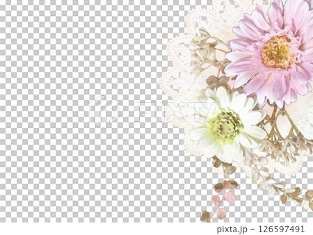 非洲菊和花邊的春季透明框架 126597491