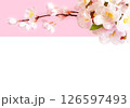 桜の春の透過フレーム 126597493