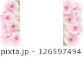 薄いピンクの薔薇の透過フレーム 126597494
