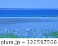 青3色 126597566
