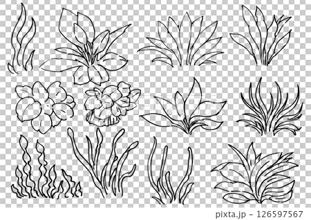 水生植物圖解的簡單線條畫-向量 水生植物圖解的簡單線條畫-向量 126597567