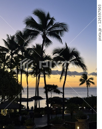 ヤシの木のある夕景 ヤシの木のある夕景 126597903
