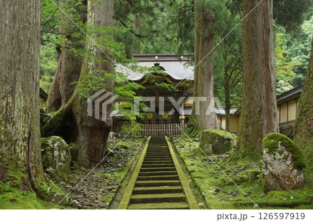 永平寺勅使門 永平寺勅使門 126597919