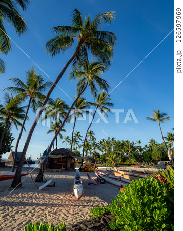 ハワイ島コナの朝 126597969