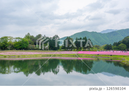 富士本栖湖リゾート 芝桜 126598104