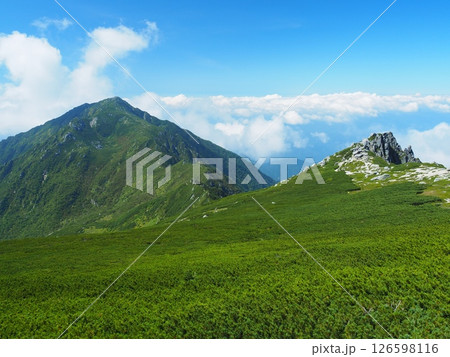 夏の中央アルプス・三ノ沢岳 夏の中央アルプス・三ノ沢岳 126598116