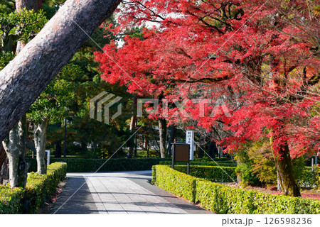 紅葉のある風景 紅葉のある風景 126598236