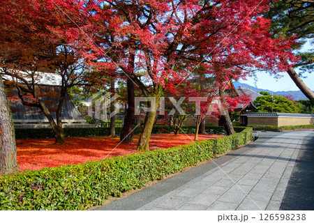 紅葉のある風景 紅葉のある風景 126598238