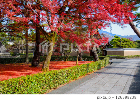 紅葉のある風景 126598239