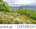 新倉山浅間神社 富士山 126598320