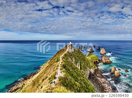 Nugget Point Lighthouse, New Zealand 126598430