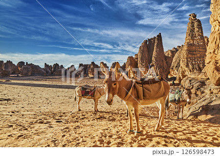Sahara Desert, Tassili N'Ajjer, Algeria 126598473