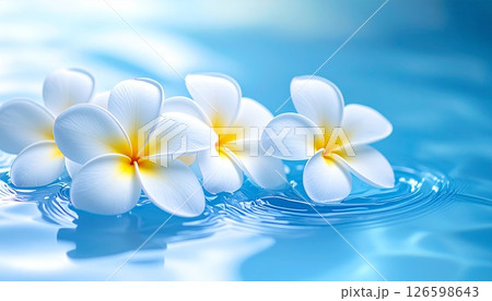 水面に浮かぶプルメリアの花 126598643