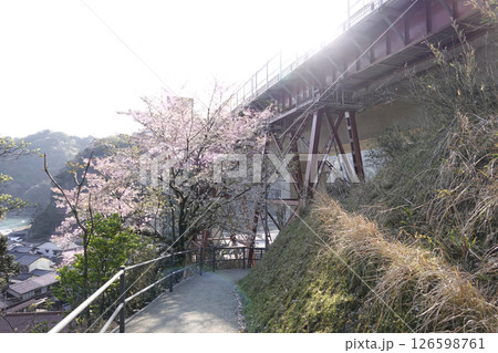 旧余部橋梁の橋脚と桜 126598761