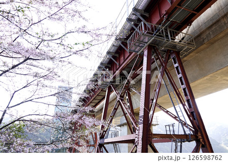 新たに完成したコンクリート製 餘部橋梁と旧余部橋梁の橋脚 桜 新たに完成したコンクリート製 餘部橋梁と旧余部橋梁の橋脚 桜 126598762