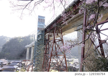新たに完成したコンクリート製 餘部橋梁と旧余部橋梁の橋脚 桜 126598764