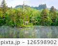 神秘的な湖 大沼の浮島 126598902