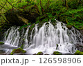 元滝伏流水 秋田県 126598906