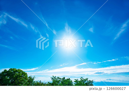 青空と雲と木立 126600027