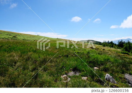 長野県_牛伏山10_2024年8月 長野県_牛伏山10_2024年8月 126600156