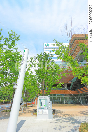 千葉県千葉市、千葉市役所の風景 126600229