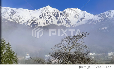 霧の中から現れた雄大な白馬連山　【長野県 白馬村】 126600427