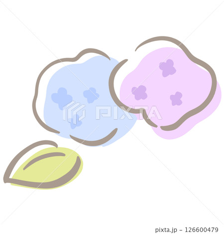 紫陽花 淡色 126600479