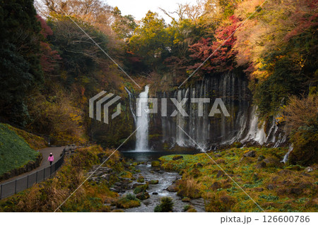 Shiraito Falls Cascading Amidst Lush Fujinomiya Shiraito Falls Cascading Amidst Lush Fujinomiya 126600786