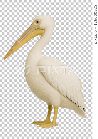 鵜鶘風景照片 126600925