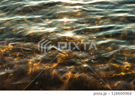 sea's surface reflecting sparkling sunlight on a summer day. Golden light penetrates the shallow water sea's surface reflecting sparkling sunlight on a summer day. Golden light penetrates the shallow water 126600968