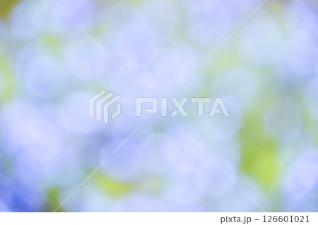 水色 紫色 緑色 植物アウトフォーカス 背景素材 水色 紫色 緑色 植物アウトフォーカス 背景素材 126601021