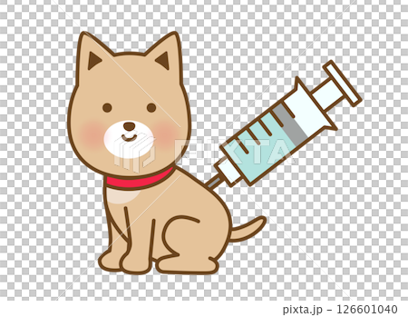 Dog vaccination illustrations | Cute materials that can be used at veterinary clinics and to raise awareness of vaccines Dog vaccination illustrations | Cute materials that can be used at veterinary clinics and to raise awareness of vaccines 126601040