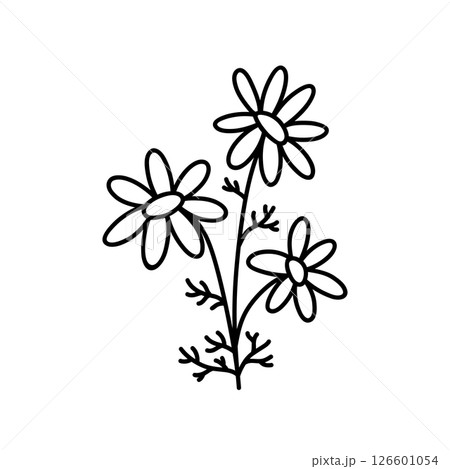 Cute daisies Cute daisies 126601054