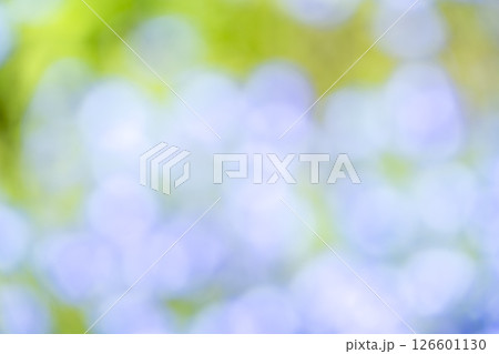 水色 紫色 緑色 植物アウトフォーカス 背景素材 水色 紫色 緑色 植物アウトフォーカス 背景素材 126601130