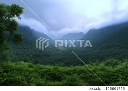 mountain landscape, view of foggy forest valley 126601236