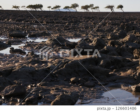 Clairview Boat Ramp付近の干潮時の風景　Queensland　Australia 126601486
