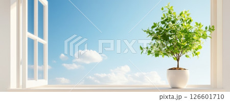 Open Window with Thriving Tree Beyond Offering Serene Natural View 126601710