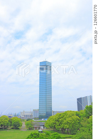 千葉県千葉市、千葉ポートタワーの風景 千葉県千葉市、千葉ポートタワーの風景 126601770